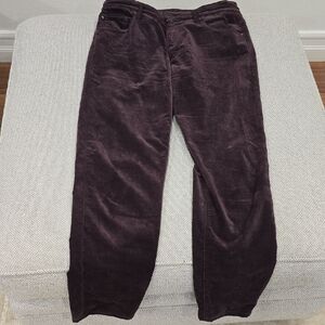 AG Adriano Goldschmied Women's Skinny Jeans - Deep Purple